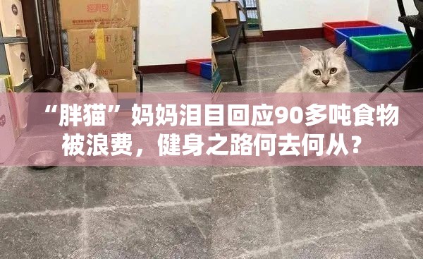 “胖猫”妈妈泪目回应90多吨食物被浪费，健身之路何去何从？