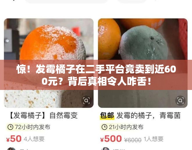 发霉橘子在二手平台卖到近600元