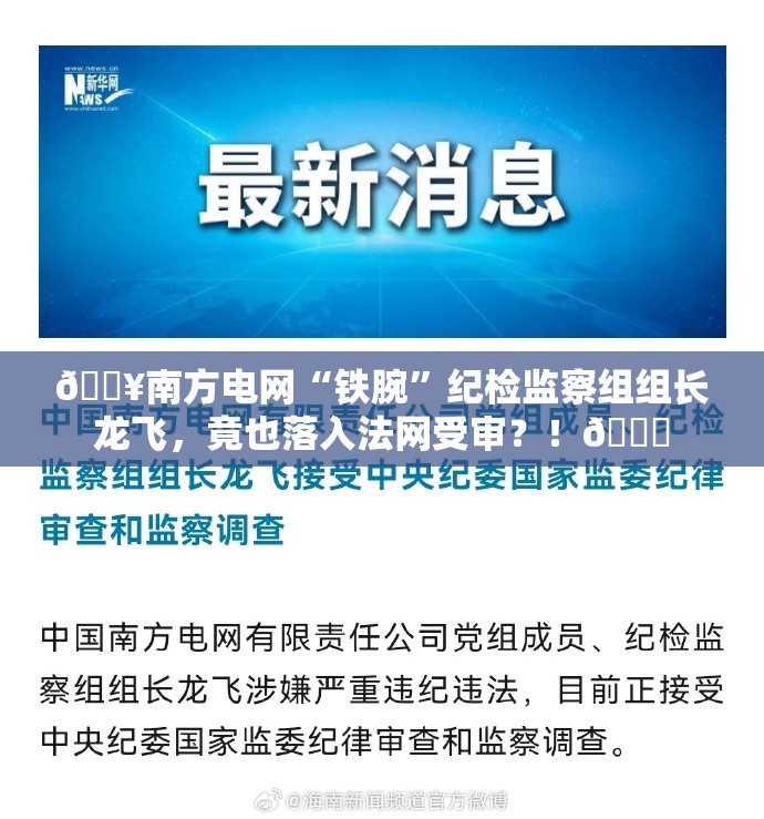 🔥南方电网“铁腕”纪检监察组组长龙飞，竟也落入法网受审？！💔